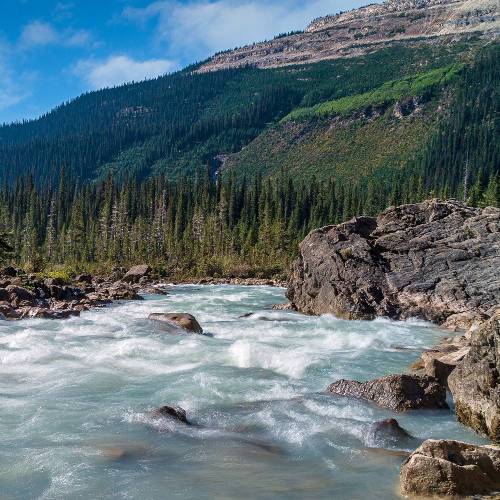 Water flowing down a fast moving river with mountains in the background. | AFNWA